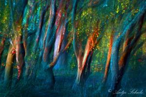 Küstenwald 2Artwork