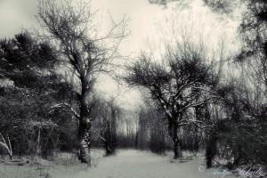 Winterlandschaft BerlinArtwork