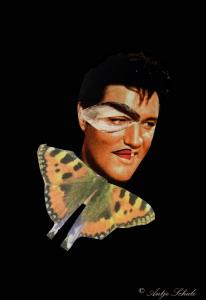 Elvis TransformationTechnik. Scherenschnitt