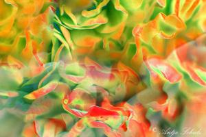 Phantasie Nr. 06-23 BArtwork