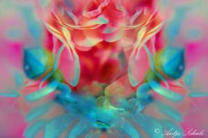 Phantasie Nr. 06-23 VArtwork