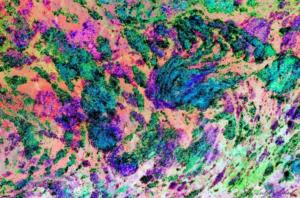 Bode Nr. 3 - Artwork