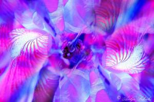 Harz 2020 6Artwork / Collage