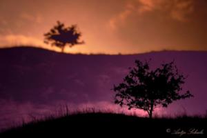Landschaft an der Saale