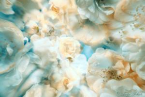 ParadiesgartenArtwork