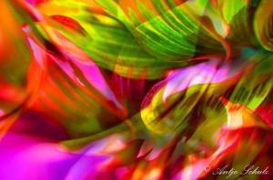 Sanssouci 10/19 Artwork