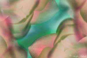 Tulpen-2022-5Artwork