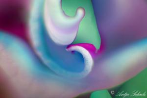 Phantasie Nr. 06-23 A Artwork