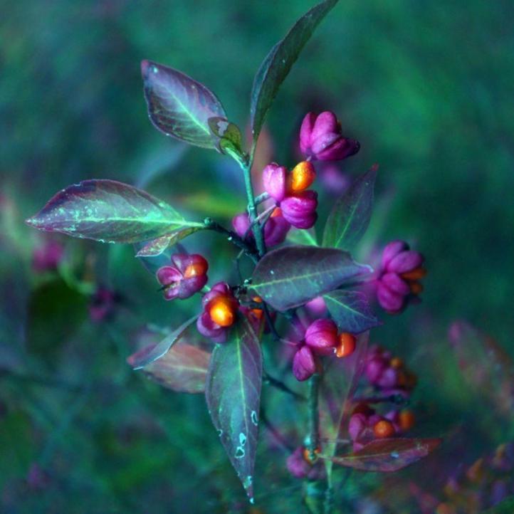 Rieselfelderlandschaft Berlin