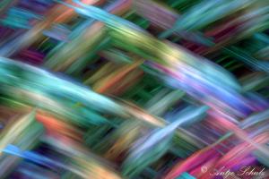 Blätter auf GrasColoriert