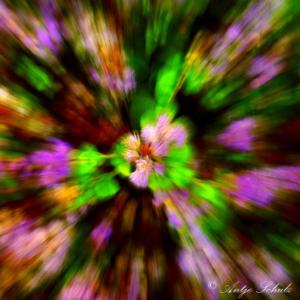 Potsdam Sans Souci Artwork